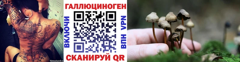 где купить   Тимашёвск  Галлюциногенные грибы Cubensis 